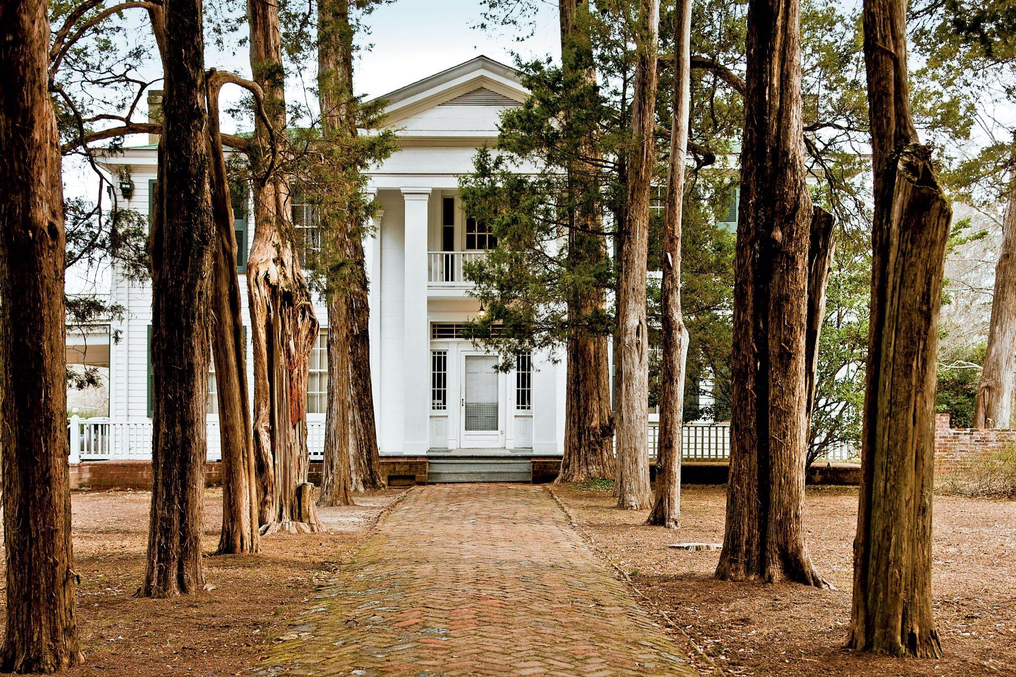 Picture of Rowan Oak