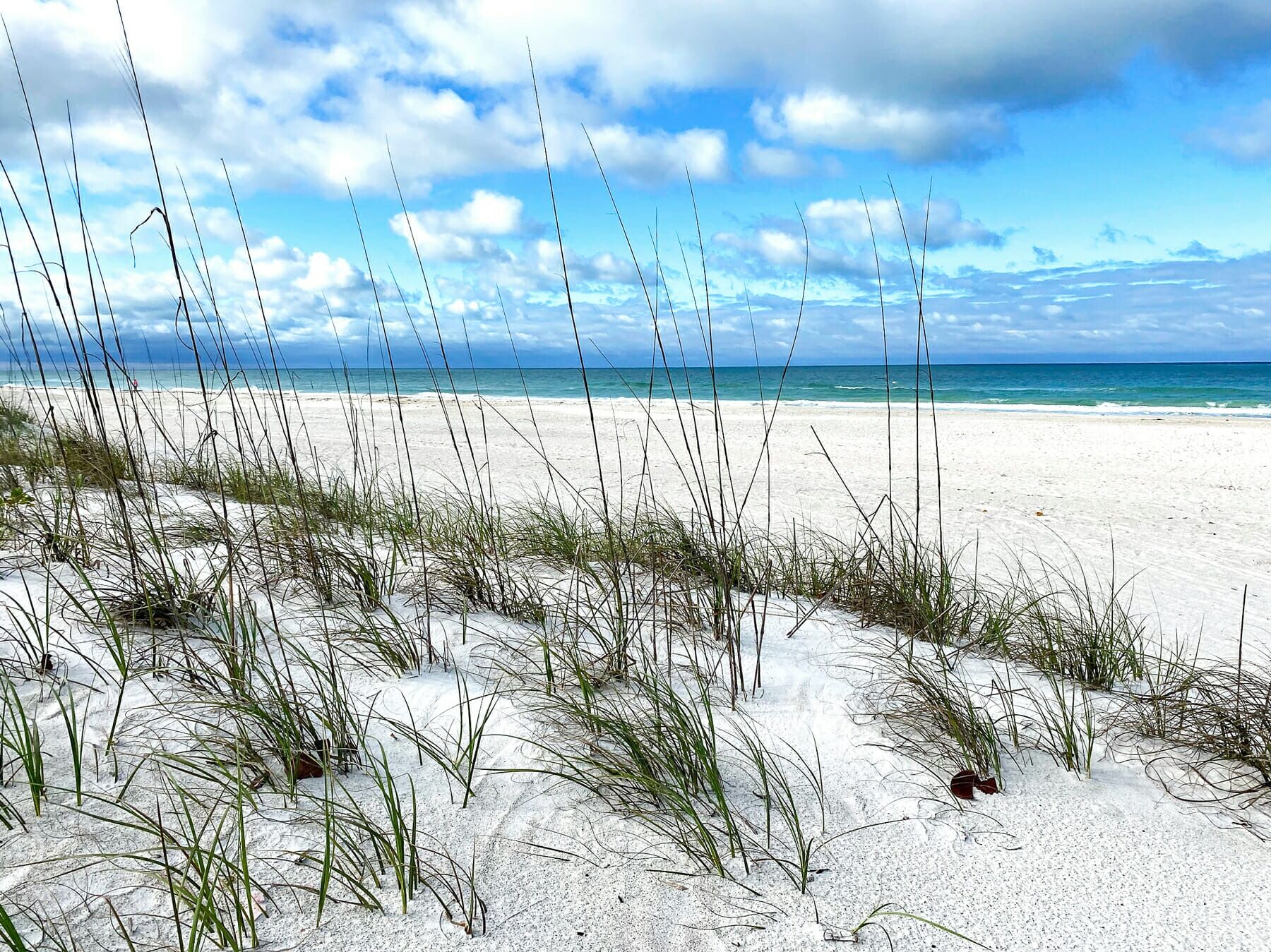 Picture of Anna Maria Island