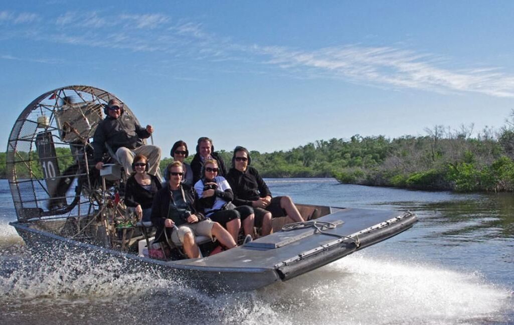 Picture of Florida Everglades