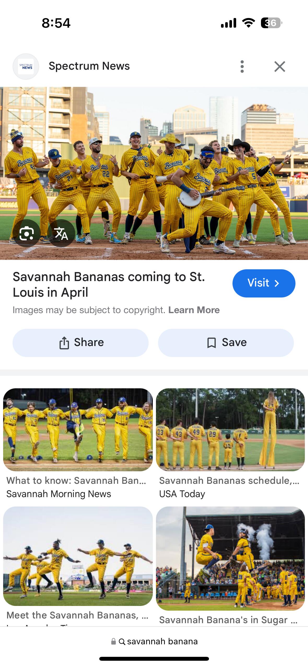 Picture of Savannah Bananas