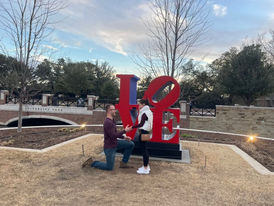 Picture of The Proposal