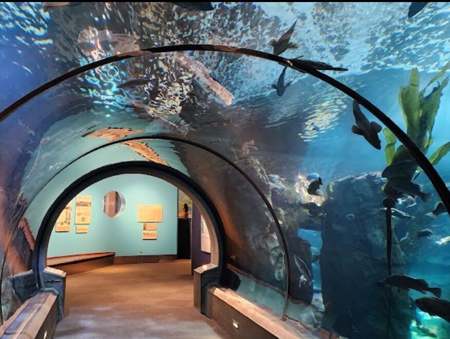 Picture of Oregon Coast Aquarium