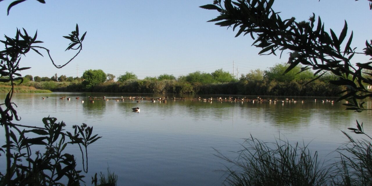 Picture of Riperian Preserve At Water Ranch