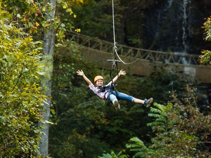 Picture of Foxfire Adventure Park