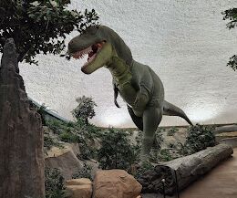 Picture of Sternberg Museum Of Natural History