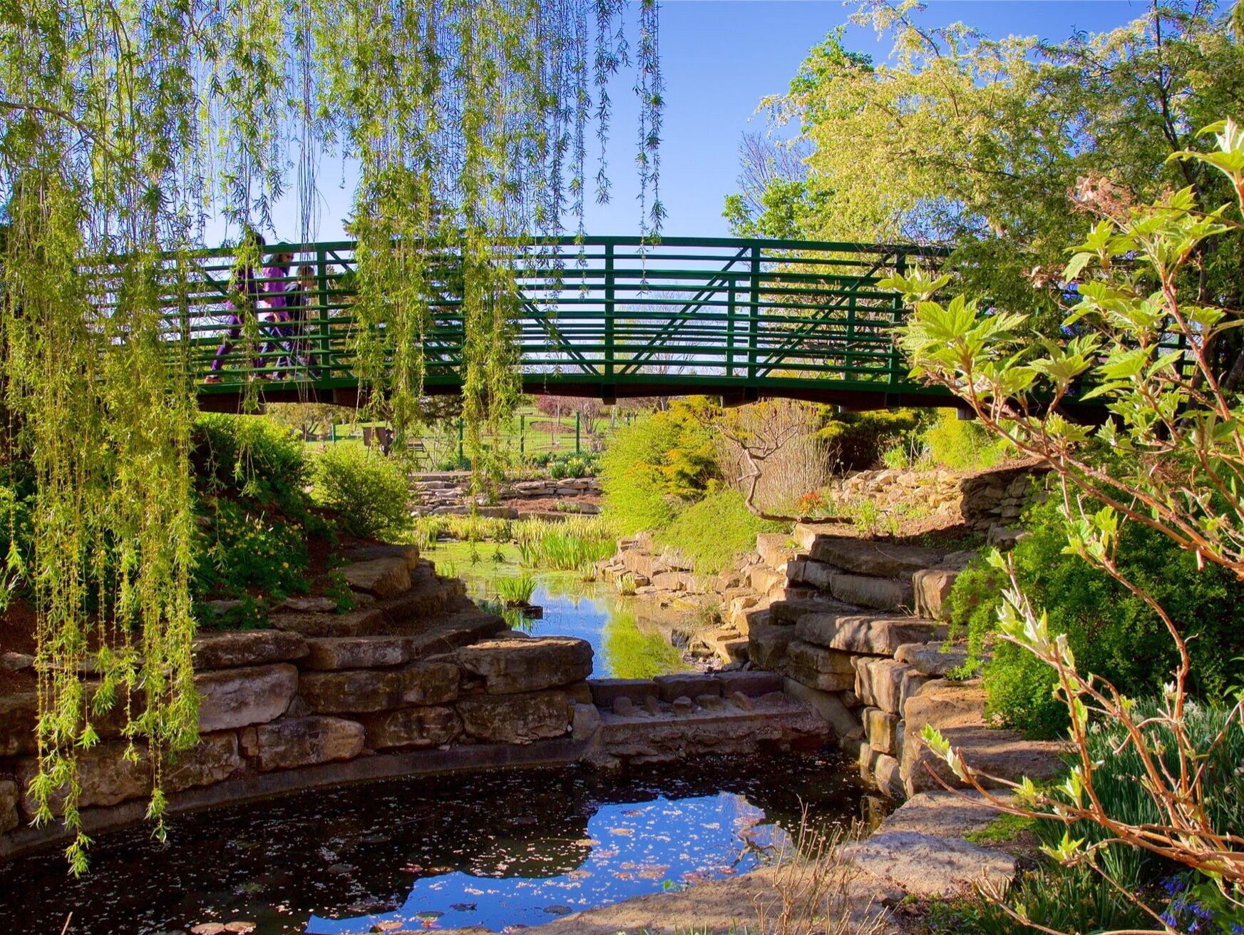 Picture of Overland Park Arboretum & Botanical Gardens