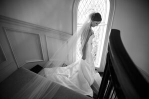 Classic Cathedral-Length Tulle Veil