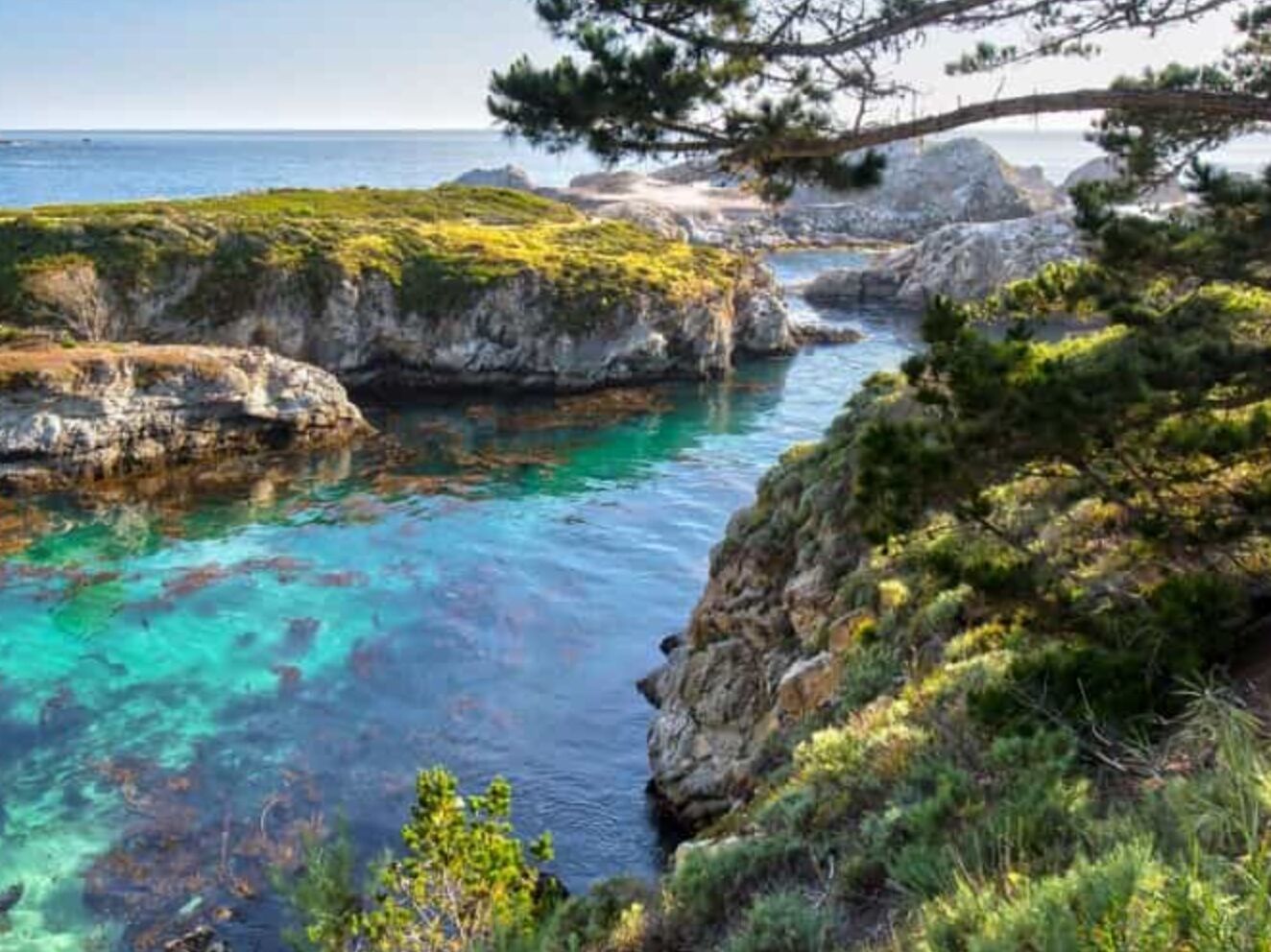 Picture of POINT LOBOS STATE RESERVE