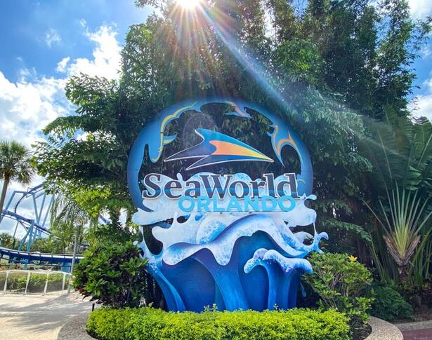 Picture of Sea World Orlando