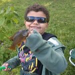 Lil’ Cory 
