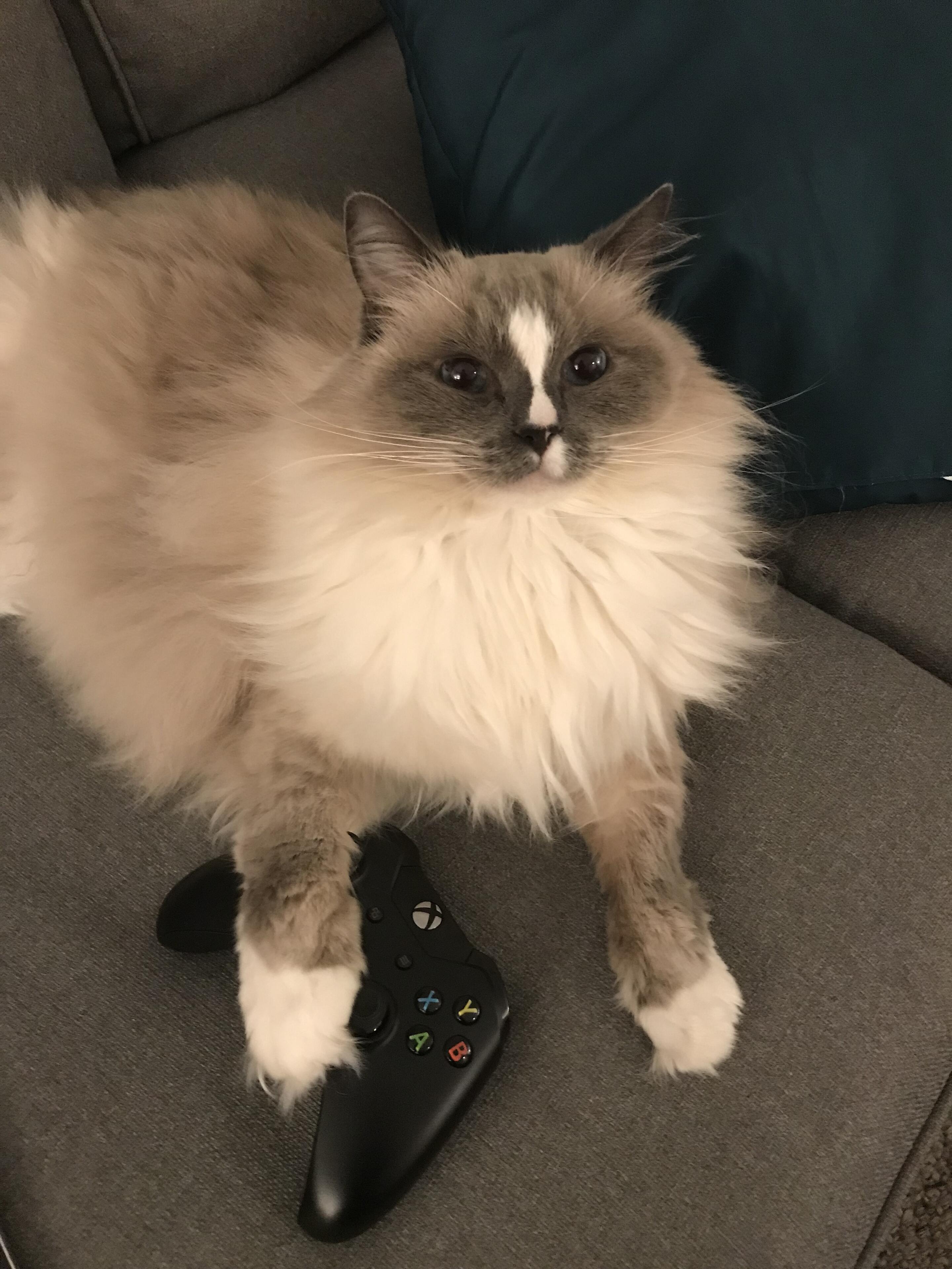 Album Photo 16