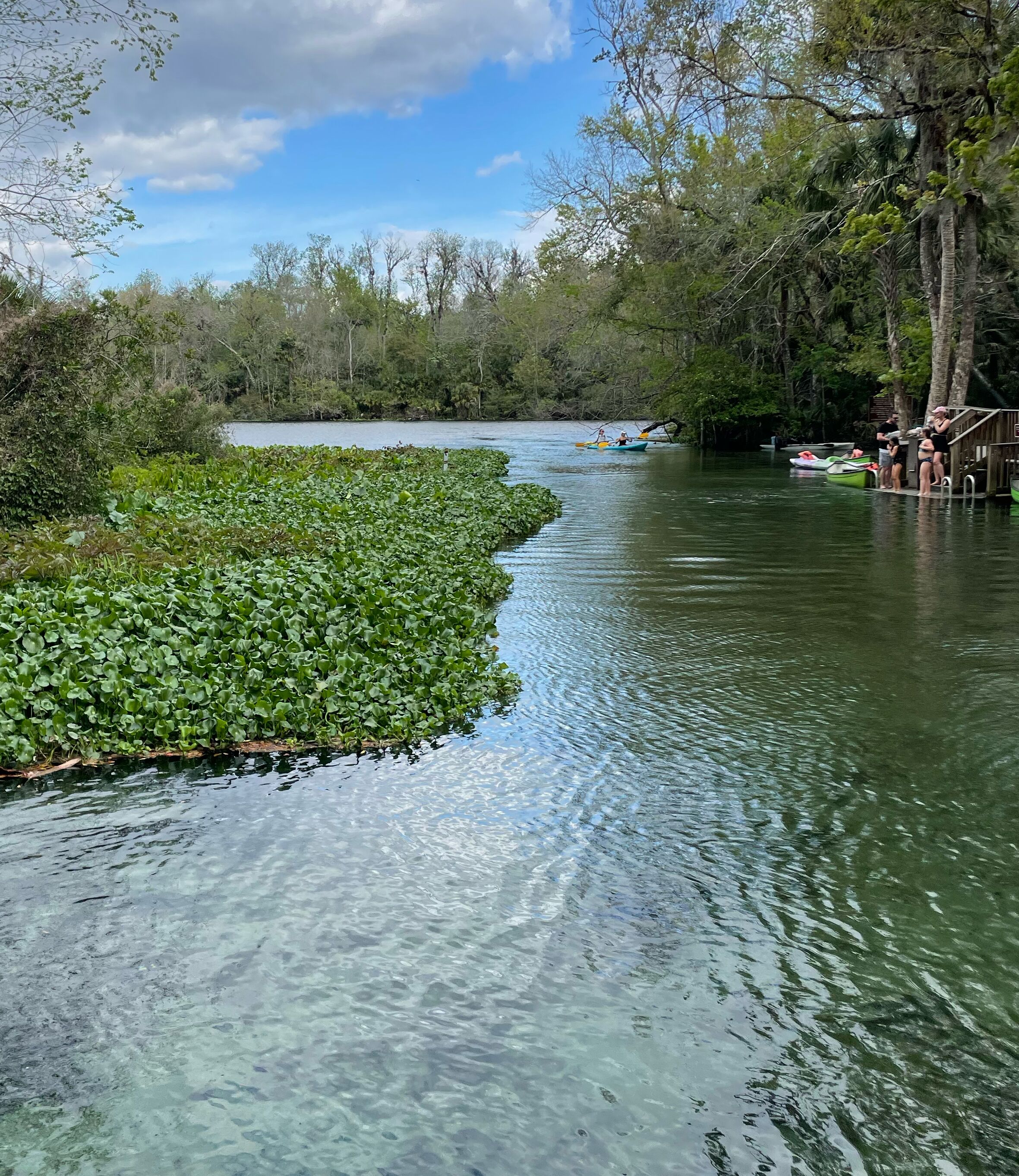 Picture of Wekiwa Springs State Park
