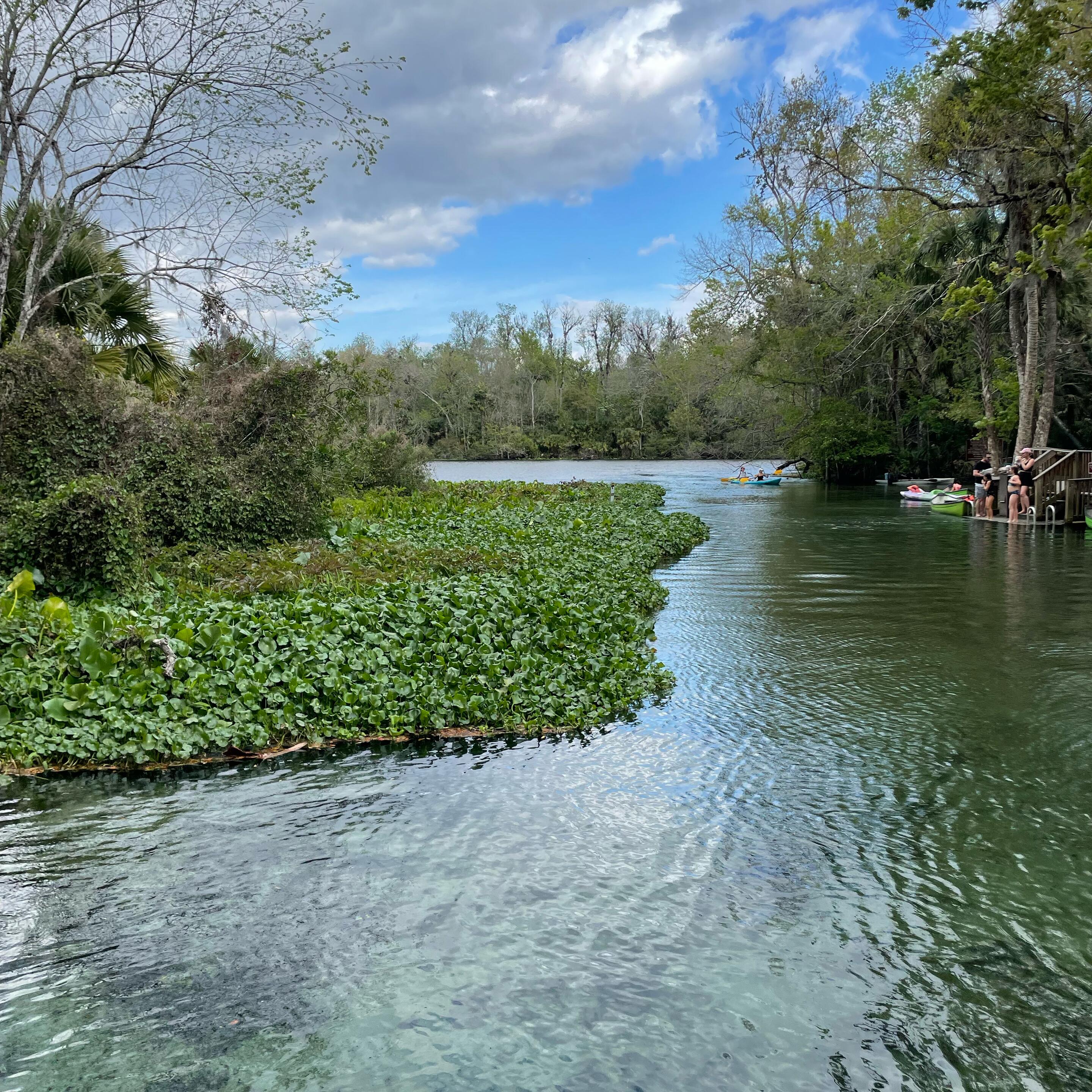 Picture of Wekiwa Springs State Park