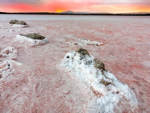 Picture of Salt lake