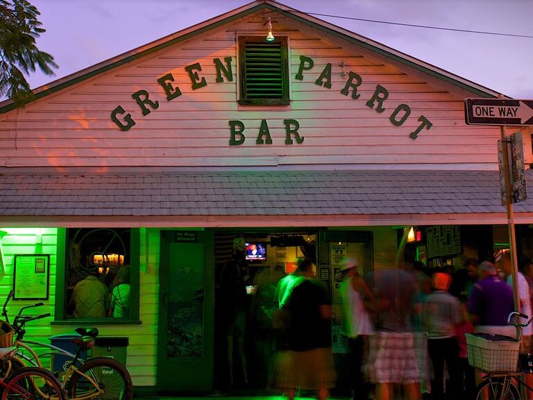 Picture of Green Parrot Bar