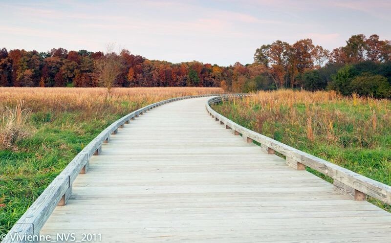 Picture of Cuba Marsh Forest Preserve