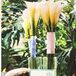 The Flowers