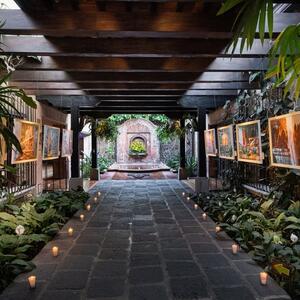 Gallery Photo 1