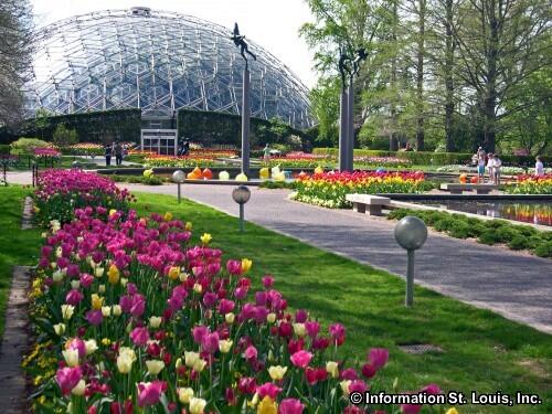 Picture of Missouri Botanical Garden