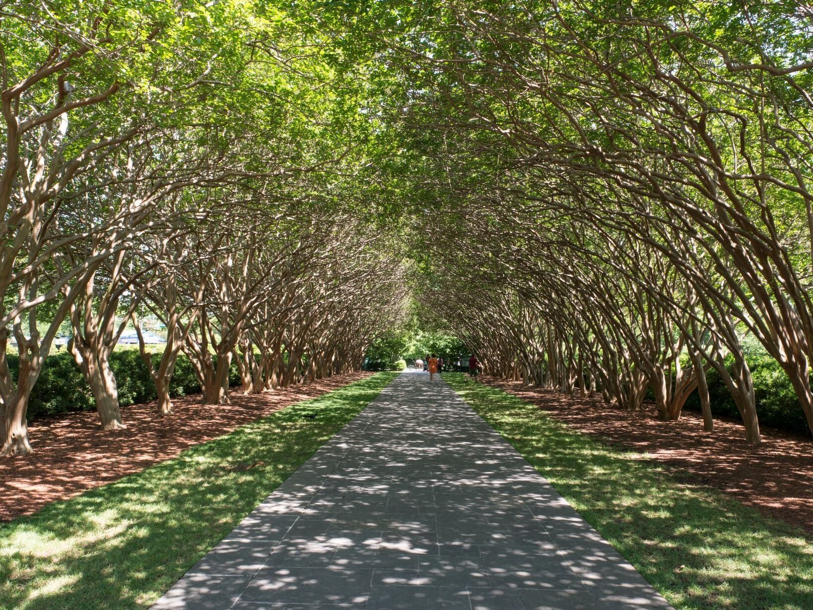 Picture of The Dallas Arboretum and Botanical Garden