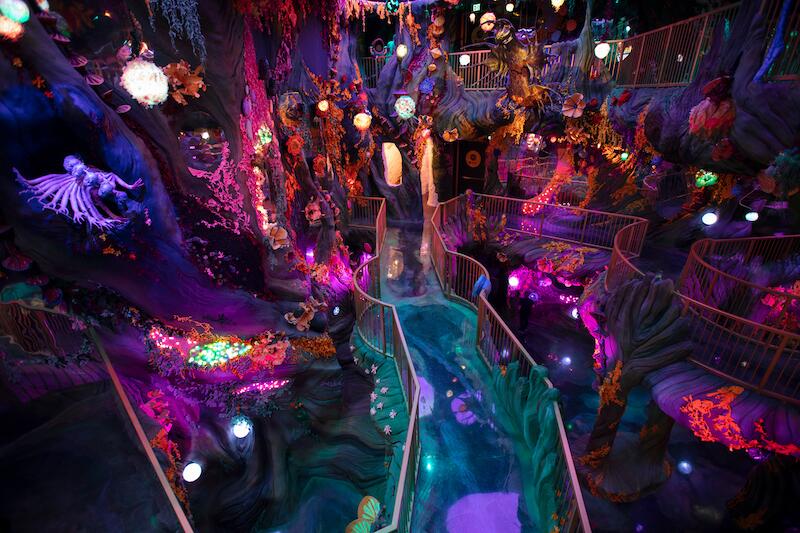 Picture of Meow Wolf Interactive Museum 