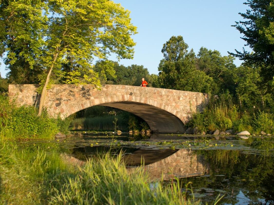 Picture of University of Wisconsin–Madison Arboretum