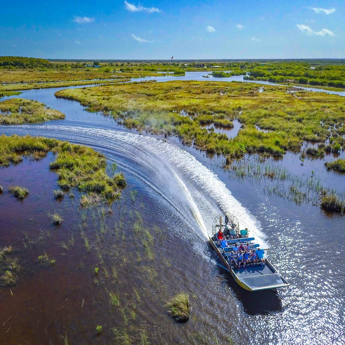 Picture of Mangrove Tunnel Airboat