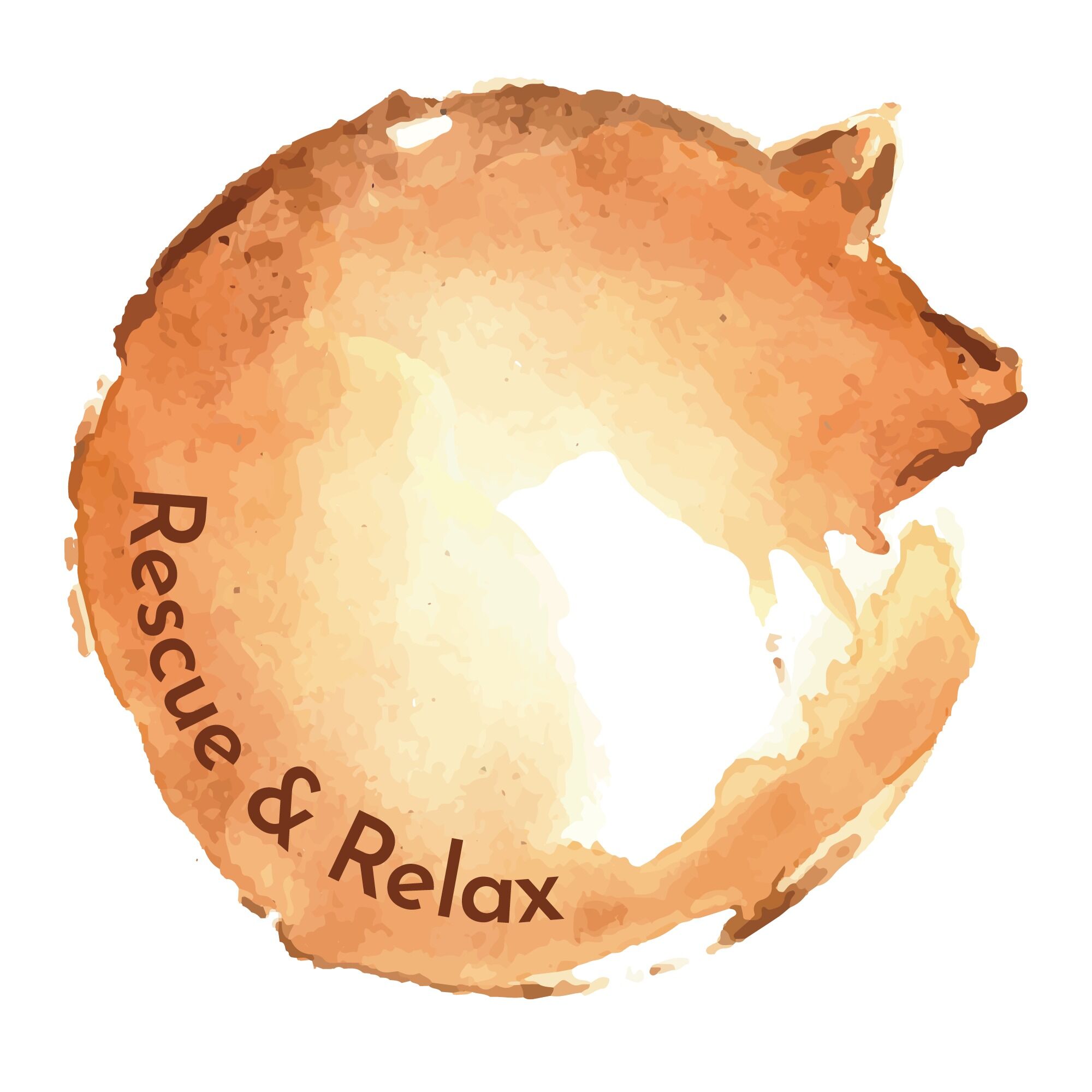 Picture of Rescue and Relax: a Pittsburgh cat lounge