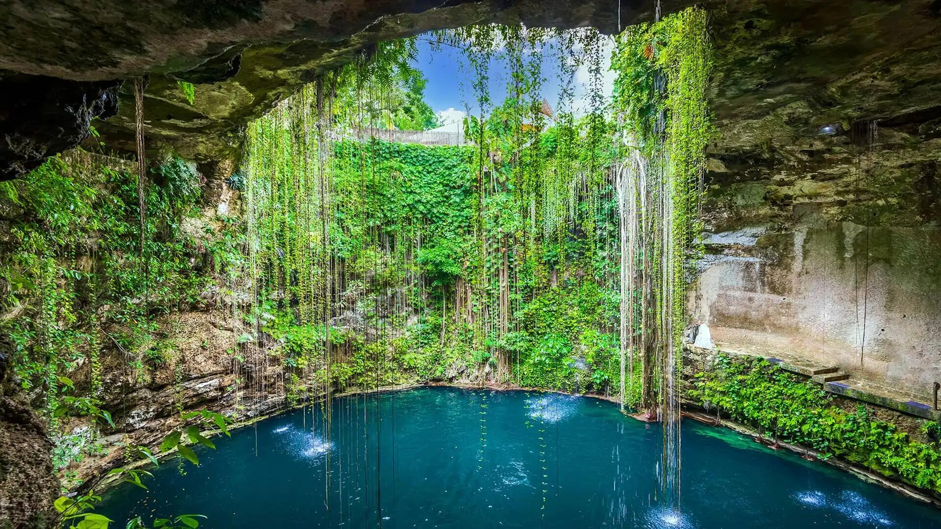 Picture of Cenote