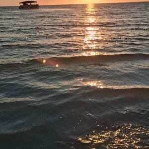 Gallery Photo 26