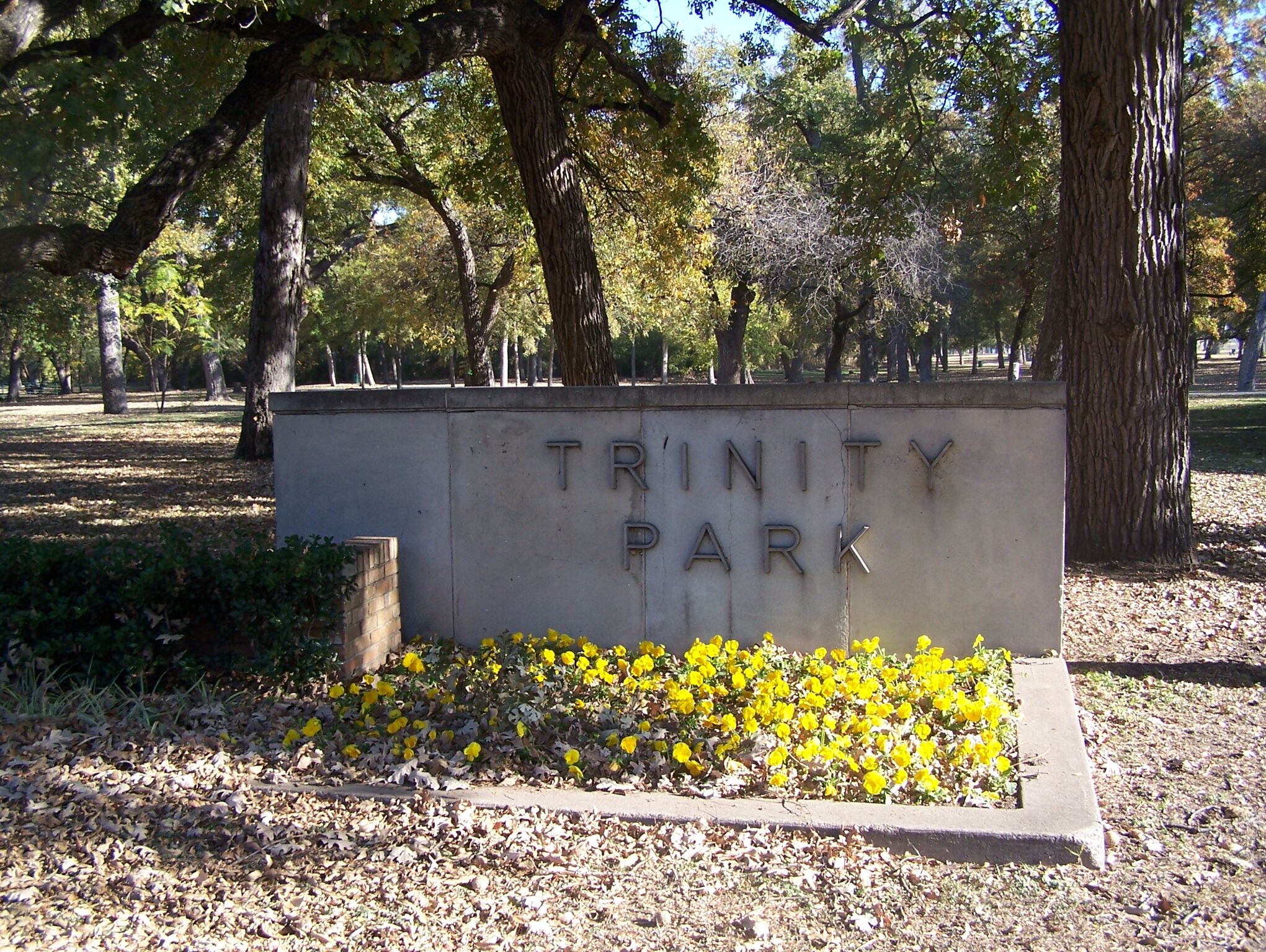 Picture of Trinity Park