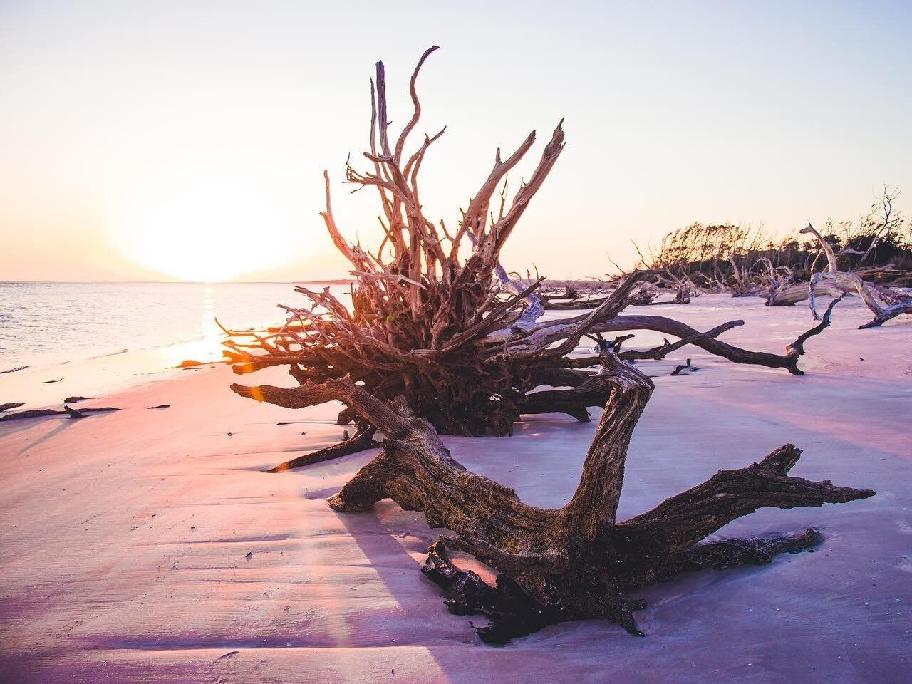 Picture of Little Talbot Island State Park