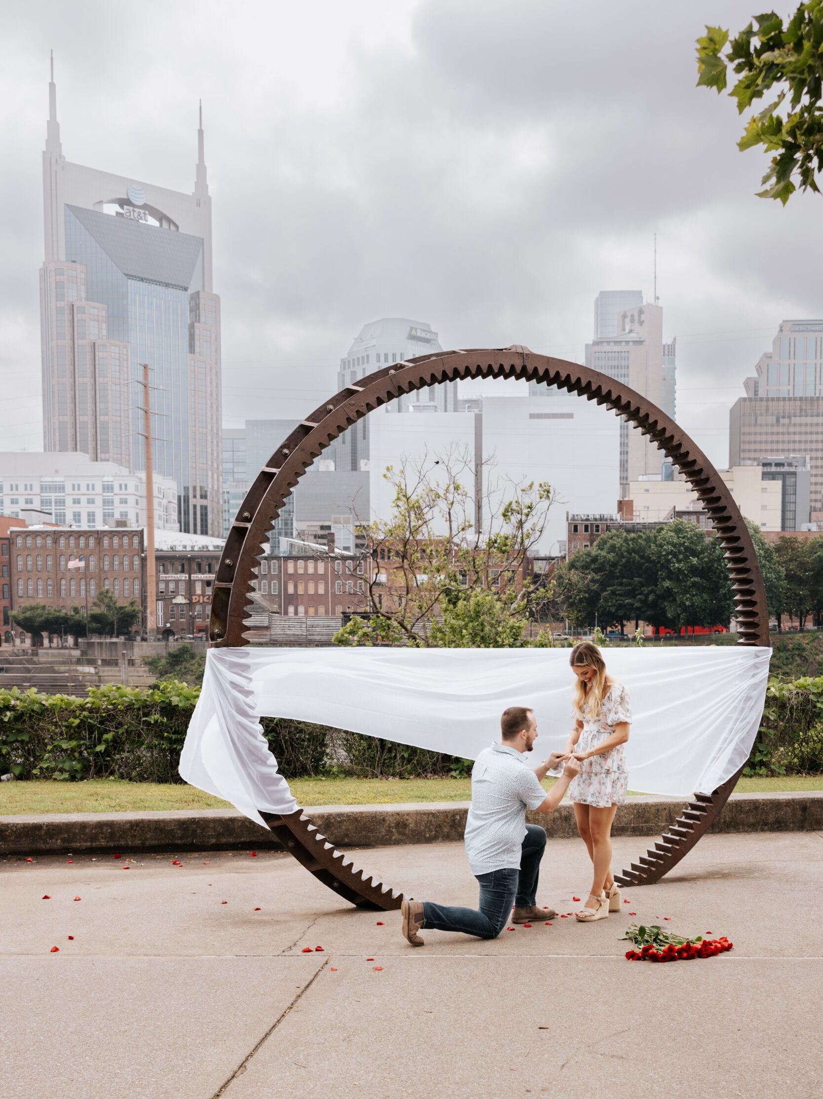 Picture of Surprise Proposal 