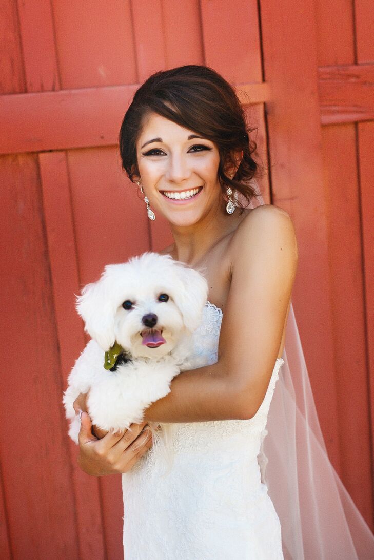 Wedding Day Bride and Puppy Photo