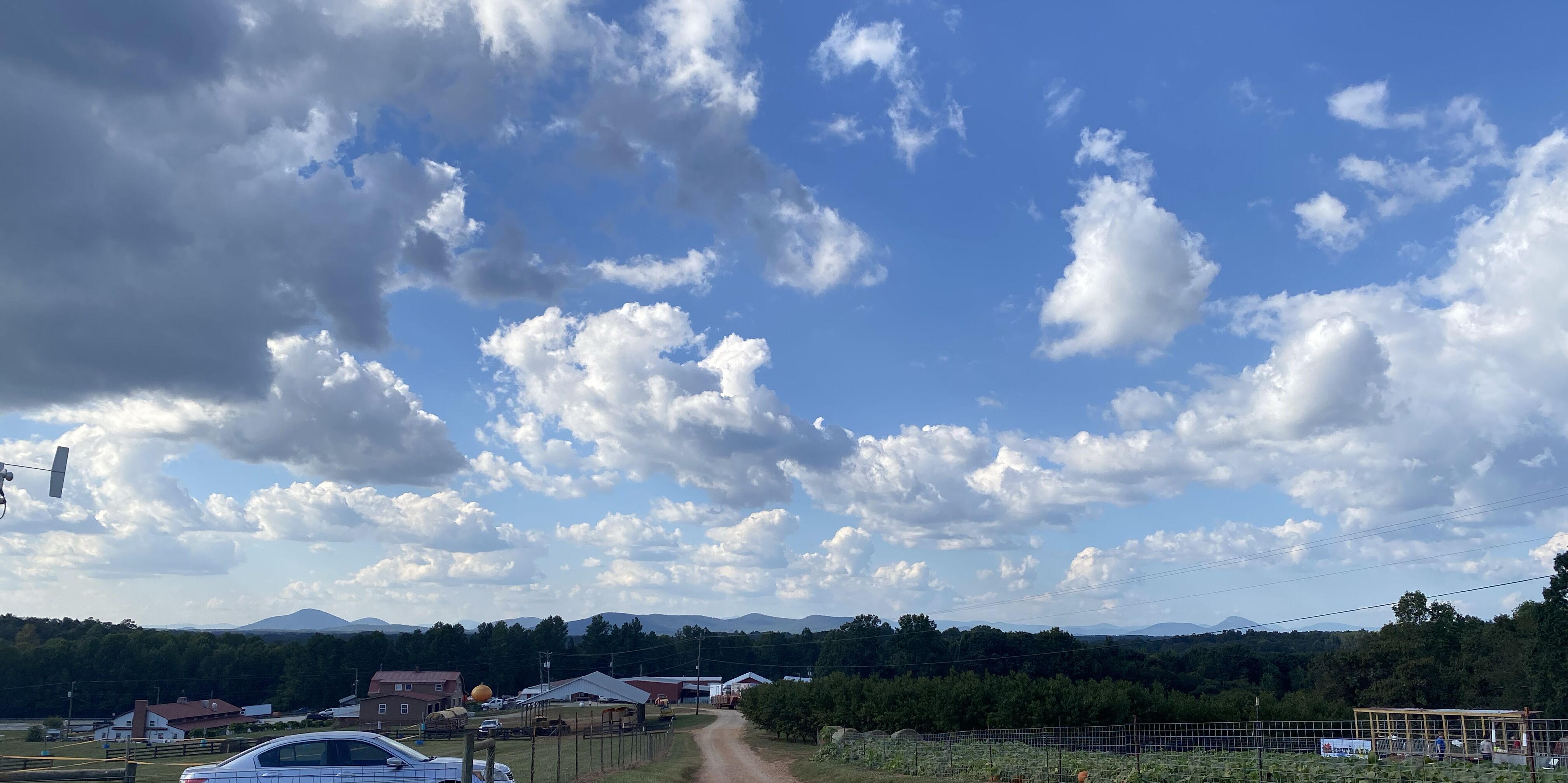 Picture of Jaemore Farms
