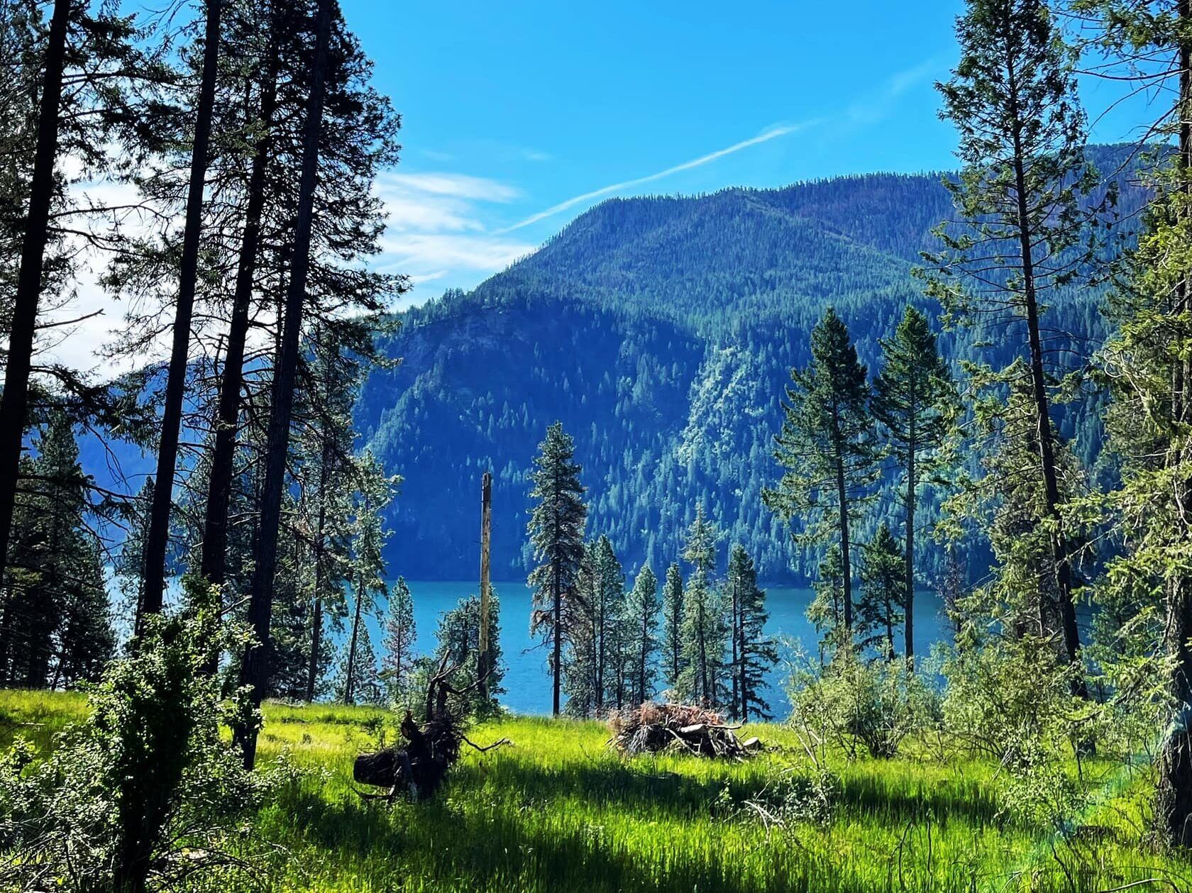 Picture of Farragut State Park