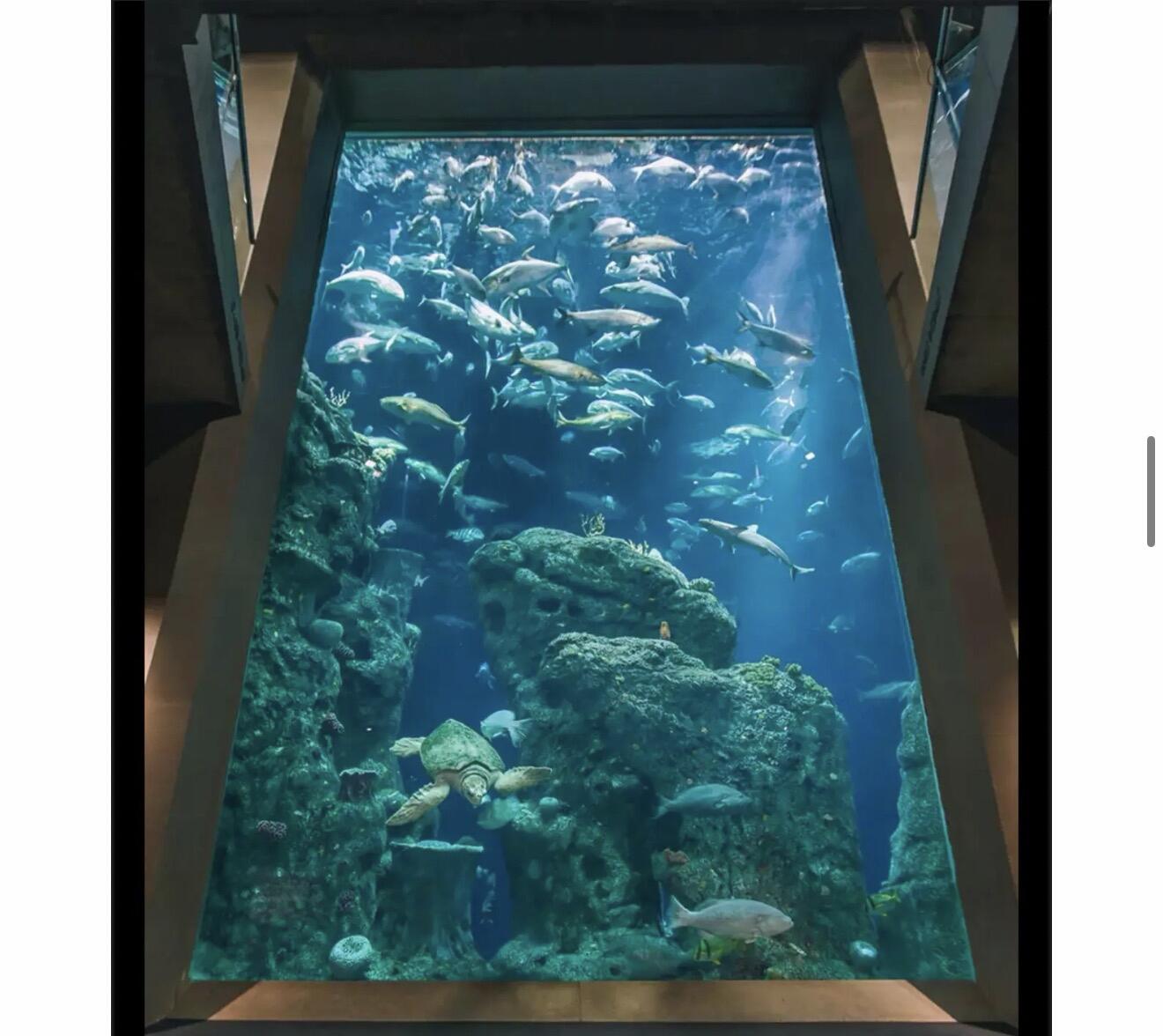 Picture of South Carolina Aquarium