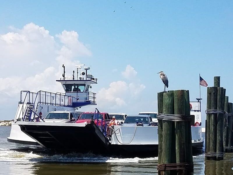 Picture of Mobile Bay Ferry - Fort Morgan Landing