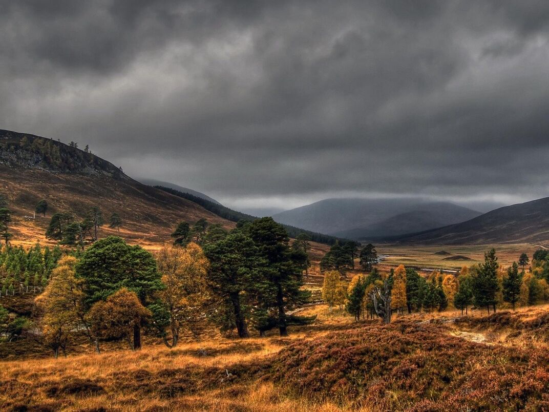 Picture of Cairngorms National Park