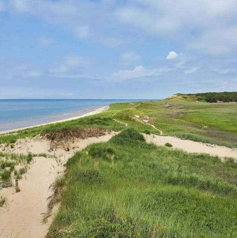 Picture of Great Island Trail
