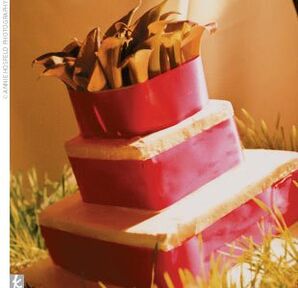 The Cake