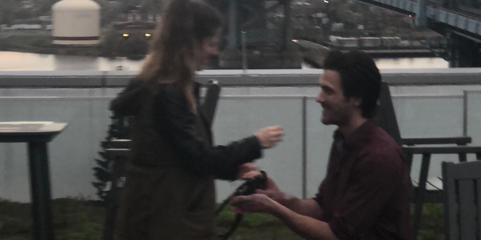 Picture of The Proposal