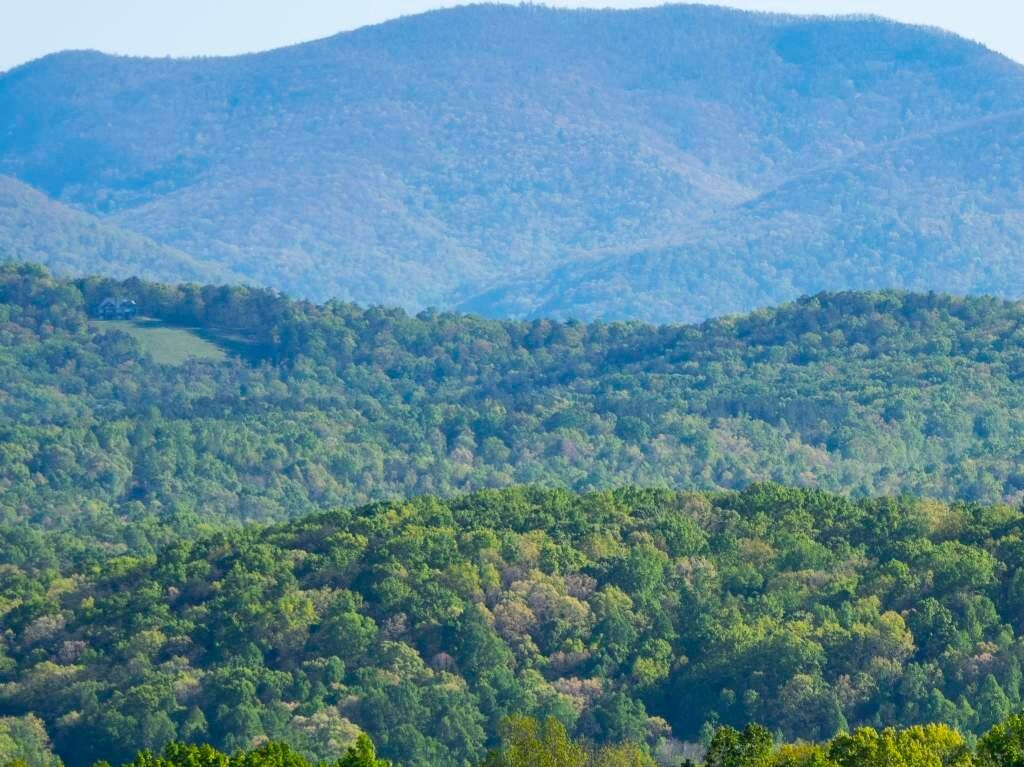 Picture of Chattahoochee-Oconee National Forest
