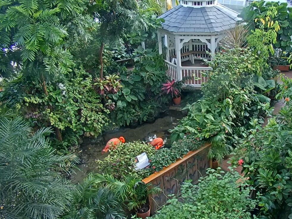Picture of The Key West Butterfly and Nature Conservatory