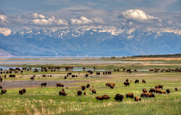 Picture of Antelope Island State Park Visitors Center
