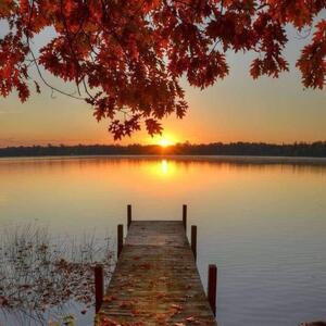 Gallery Photo 31