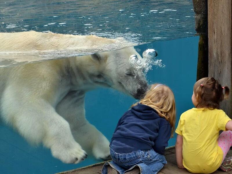 Picture of Pittsburgh Zoo & Aquarium