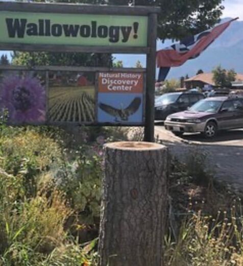 Picture of Wallowology