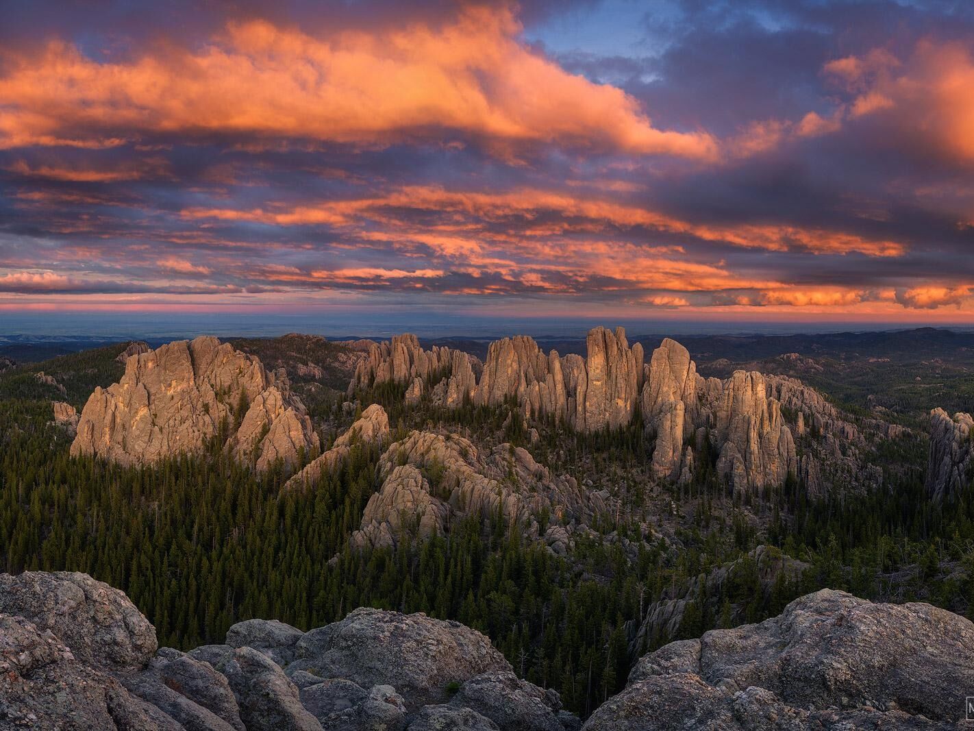 Picture of Custer State Park