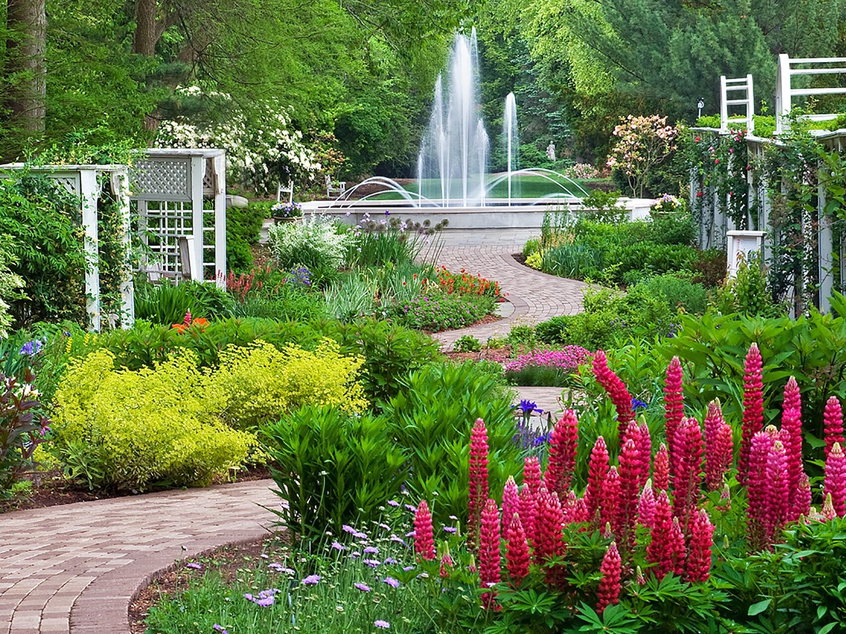 Picture of Fellows Riverside Gardens